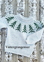 Load image into Gallery viewer, Children's Christmas Knits - English