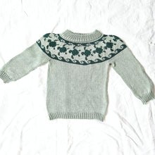 Last inn bildet i Galleri-visningsprogrammet, Skilpaddegenser