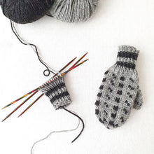 Last inn bildet i Galleri-visningsprogrammet, IslenderMini