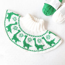 Last inn bildet i Galleri-visningsprogrammet, Brachiosaurus dinosauroppskrifter (oppskriftpakke)