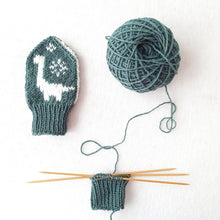 Last inn bildet i Galleri-visningsprogrammet, Brachiosaurus dinosauroppskrifter (oppskriftpakke)