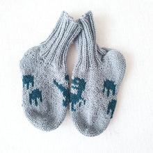 Last inn bildet i Galleri-visningsprogrammet, Raptorsokker