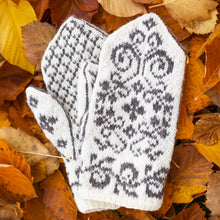 Last inn bildet i Galleri-visningsprogrammet, Frostrose