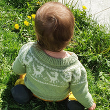 Last inn bildet i Galleri-visningsprogrammet, Retro Raptor Sweater - English
