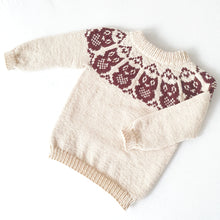 Last inn bildet i Galleri-visningsprogrammet, Junior's Owl Sweater - English
