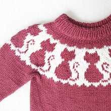 Load image into Gallery viewer, Thinking Kitty Sweater - English
