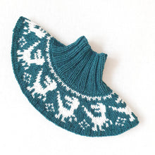 Last inn bildet i Galleri-visningsprogrammet, Raptor Pack
