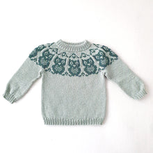 Last inn bildet i Galleri-visningsprogrammet, Junior's Owl Sweater - English
