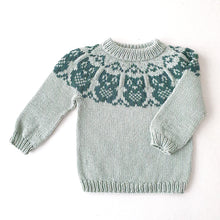 Last inn bildet i Galleri-visningsprogrammet, Junior's Owl Sweater - English
