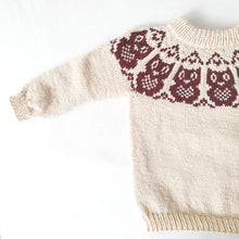 Last inn bildet i Galleri-visningsprogrammet, Junior's Owl Sweater - English
