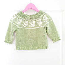 Last inn bildet i Galleri-visningsprogrammet, Retro Raptor Sweater - English
