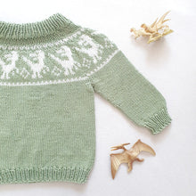 Last inn bildet i Galleri-visningsprogrammet, Retro Raptor Sweater - English
